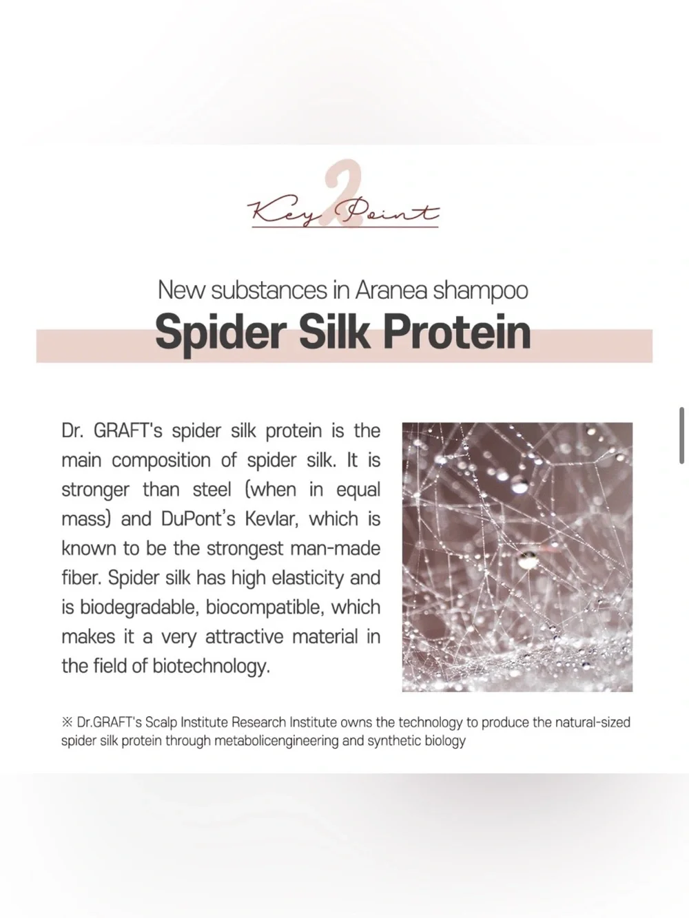 Dr Graft Aranea Shampoo - Anti Hair Loss & Protein Care; new/authentic/unopened